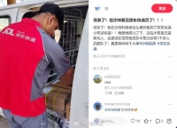 独家 | 京东物流进军沙特：已开启配送，当地招募上千人团队