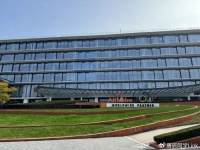 阿里握紧拳头，不只是为打美团