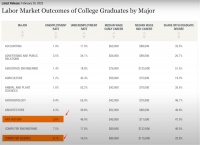 失业率达艺术史2倍，计算机科学专业不再是稳定职业保障？