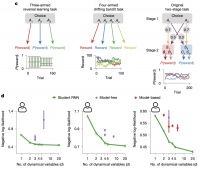 智能之镜：NeuroAI 如何反映大脑与人工智能的未来