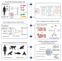 AI+多组学引爆医疗革命，这次是否真的不一样