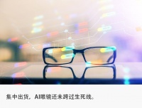 2000元买个拍照搭子，退货率40%，AI眼镜想火不容易