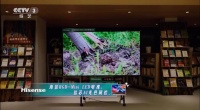 一个月内连登两次央视！众星点赞海信RGB