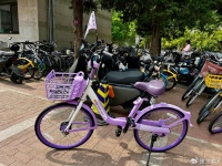 共享单车贵得离谱，从代步工具到奢侈品，网友直说骑不起