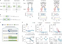 从物理学公式找到奇妙灵感，博士生用极简模型发现认知策略
