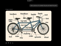 GPT-5之后，奥特曼向左，梁文锋向右