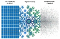 有效复杂性的边界：在有序与无序之间