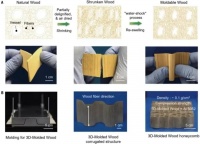 中国科学家创造“万能解法”，将塑料垃圾转化为高价值化学品