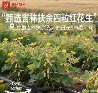 花生在树上结果？良品铺子道歉
