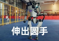 一只手比整个人还贵，手艺活为啥这么难？