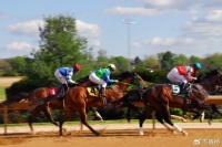 硝烟再起，阿里用高德切入美团第二战场