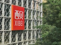 专访西贝贾国龙：我现在陷入自证清白循环