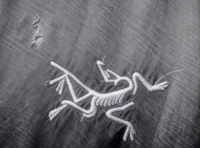 电厂 | 始祖鸟忧思录