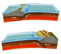 海洋微生物是如何演化的