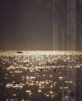 明年经济现六降六升态势，房价煤炭下降，人工智能绿色能源上升