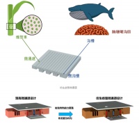 重磅！国内供应商液冷解决方案获全球龙头芯片公司认可并验证