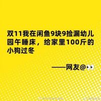 2025双十一闲鱼省钱策略引热议