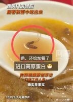 西贝“活虫门”爆发，神反转看傻全网！