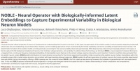 超越传统4200倍速，苏黎世联邦理工提出NOBLE，首个经人类皮层数据验证的神经元建模框架