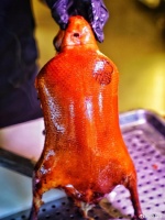 离谱！东方网因“一只鸭子”被腾讯封了，太霸道了