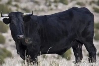 注意，市场还要大跌吗……