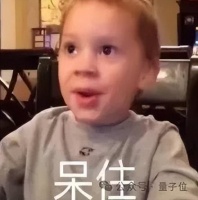 SpaceX估值8000亿美元超OpenAI，IPO就在明年