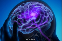 陈天桥亲自下场押注脑机接口赛道，中国首家超声波BCI企业格式塔成立