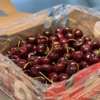 智利车厘子22天直达中国，中企助力全程保鲜