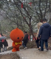 淘宝现身财神庙排队敲钟