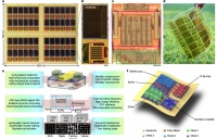 可弯折超4万次、成本不到2美分！清华造出柔性AI芯片，健康监测准确率超99％