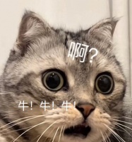 1800亿大模型龙头提价30%！机会这么挖