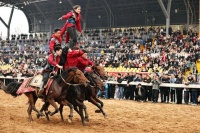 人民日报：这个春节，三点感受很明显