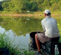 知名网红发生车祸，求助粉丝捐款，被爆料家里奔驰和房子都没卖