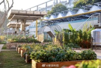 苹果在华节水550亿升，供应商水循环利用率达43%