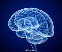 全球首款侵入式脑机接口医疗器械获批上市并获医保编码