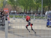 亦庄半马：机器人提速了，摔跤也出续集了