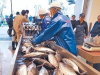 中国可能在等，把三大主要问题解决了，再彻底解决台湾问题