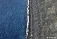 美的状告小米，家电容不下盟友？