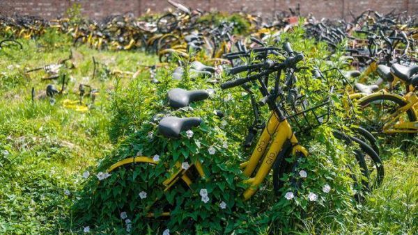 “消失“的小黄车