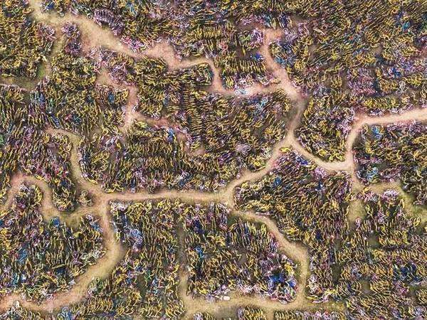 2015-2019:风口已死,教育当立