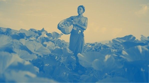 《Fast Company》评2019改变世界创意大奖:拯救地球的17个方案