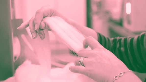 《Fast Company》评2019改变世界创意大奖:拯救地球的17个方案