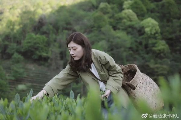 年入100万不是梦?旅游网红正在遭遇“李佳琦们”的流量倾轧