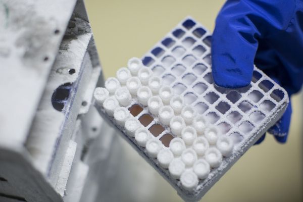 瞄准风口上的细胞治疗市场，「赛德特生物」开启全产业链模式