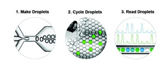 36氪首发 | 看好分子POCT蓝海市场,「比格飞序」时隔半年完成又一轮千万元融资