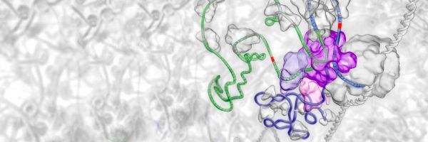 2019上半年，数字医疗在国际上有哪些成果？