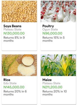 P2P在非洲怎么做?几个案例管窥非洲的P2P行业