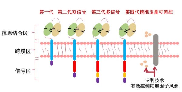融资合伙人入围项目 | 开发创新细胞免疫疗法，「康爱生物」想让细胞治疗更普适、安全、平价