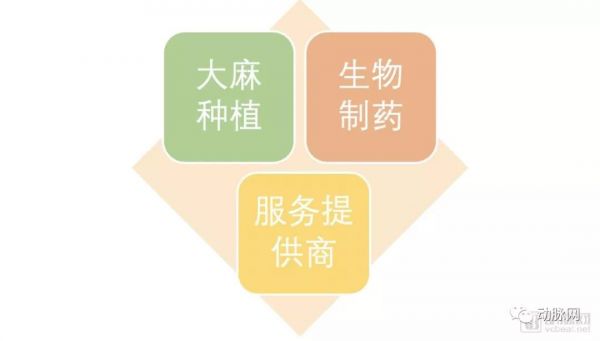 经历封杀、解锁、涨停,医用大麻还有下一季吗?