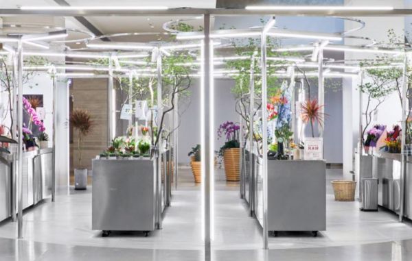 「植治」：从贩卖“成品花束”开始，寻找线下精品花店连锁的可能性